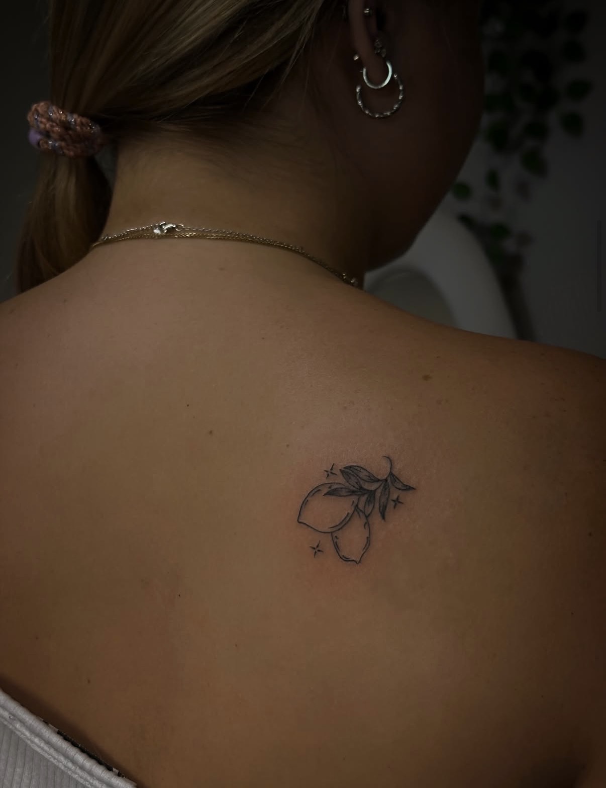 Fine-Line · Botanisch